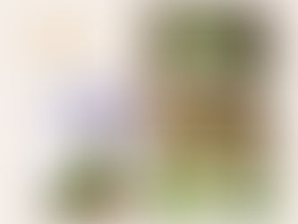 Légume de saison : le brocoli