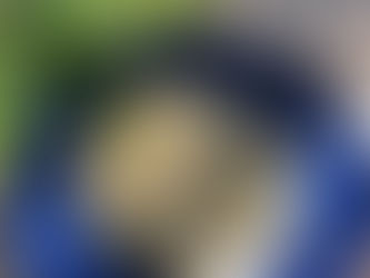 Salade de pommes de terre aux herbes fraîches