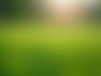 Top 5 Benefits of Professional Turf Maintenance
