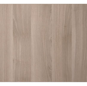 Light wood grain smooth door
