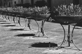 Black and white photograph of a row of wrought iron planters and their shadows on paving in Maglie