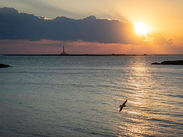 Puglia-Sept-2026-250.jpg