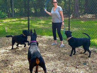 Timmonsville/Florence SC Dog Daycare and Kennel