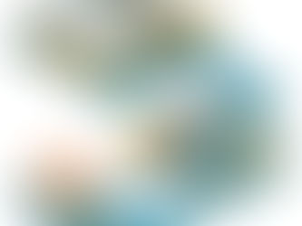 Y ahora…faltan productos