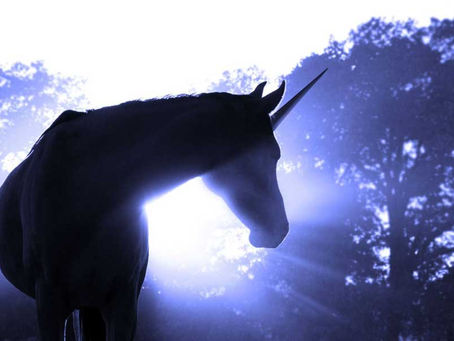 De Percherones y Unicornios…
