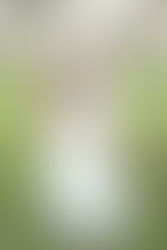 BRIDAL SESSION | VANESSA