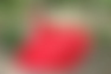 VICTORIA WEST H.S. SENIOR | GRACYN