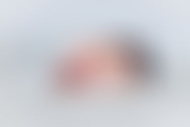 Jaxson's Newborn Photo Shoot