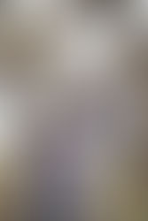 Family Photo Shoot | Jenny, Greg & Cameron