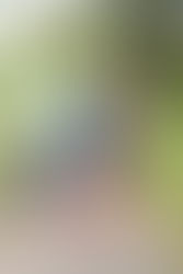 FAMILY SESSION | THE LONGORIA FAMILY