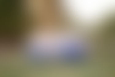 Family Photo Shoot | The Vinson Family