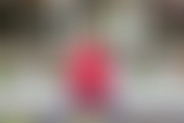 CAP & GOWN SESSION | ALLEN