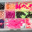 Thumbnail: Crappie Box (Assortment)