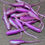 Thumbnail: Minnow