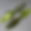 Thumbnail: Punch Beaver