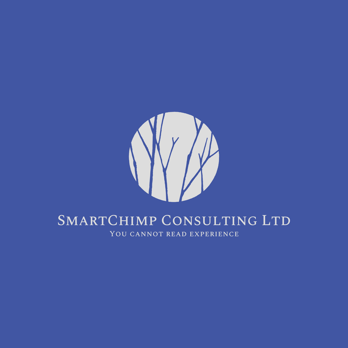 Acquisitions Management Buyout SmartChimp