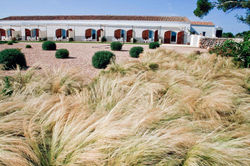 Hotel Binigaus Vell 03