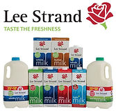 Lee Strand.jpg 2.jpg