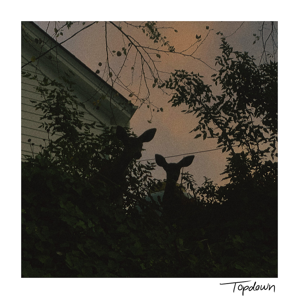 TOPDOWN LP1 FRONT cover.png
