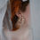 Thumbnail: Pearl Hoops