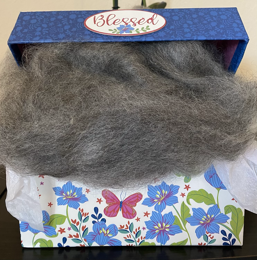 Carded Gotland Sheep wool