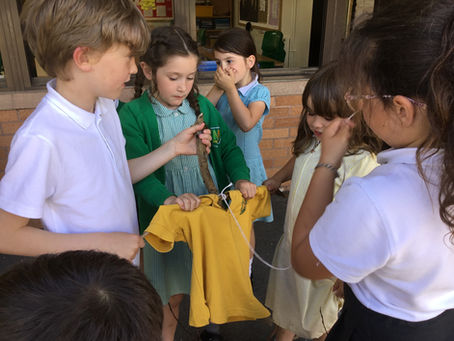 Gardening Club Scarecrows