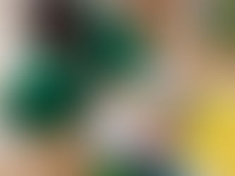 Year 2 Taste Testing