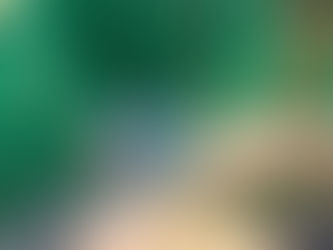 Reception Busy in the Garden