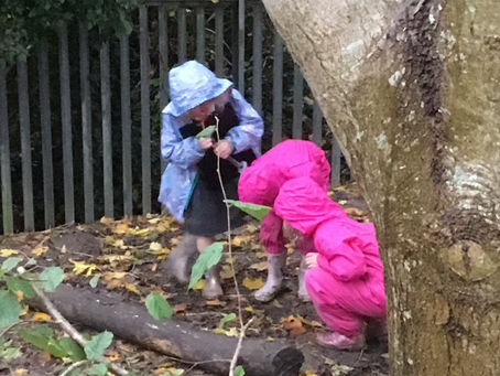 Year 1 Mini Beast Hunting!