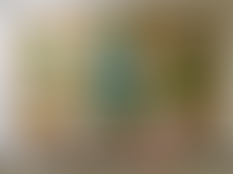 The Nest Count Down to Christmas