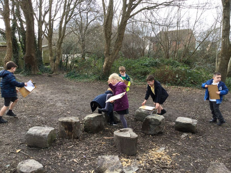 Year 2 Micro Habitats