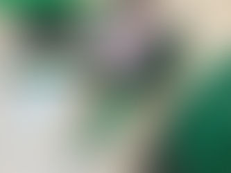 Year 3 Short Story Animations