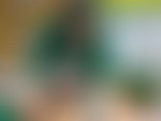 Year 6 Investigating Forces