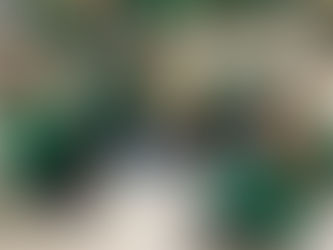 Year 2 Science Tests