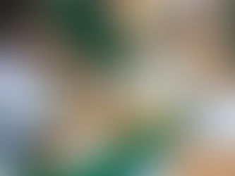 Year 6 The Windrush Generation