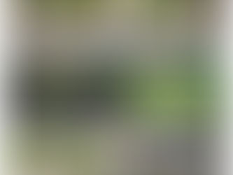 Eco-Council Gardening Club