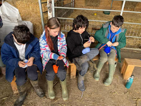 Year 5 Magdalen Farm Day 5