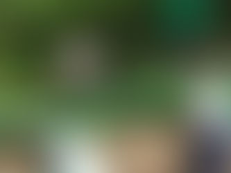 Gardening Club Wildflower Seeds