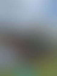 Year 5 Magdalen Farm Day 2