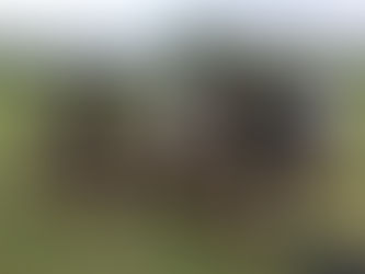 Year 6 Rounders Festival at Pilton