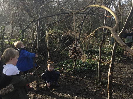Year 1 Making Bird Feeders