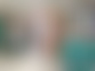 Year 5 Migration Experiment