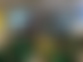 Year 6 Author Visit & Portal Stories