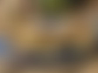 طريقة عمل البسبوسة بجوز الهند بطريقة سهلة وسريعة