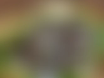 طريقة تحضير سلطة الشمندر بالجرجير