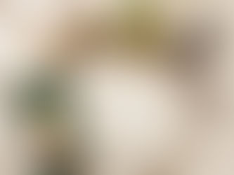 Malay Wedding Singapore 2026: Timeline, Checklist & Budget