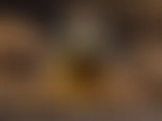 Discover the Secret to Wellness with Our Premium Sacha Inchi Oil Capsules in Singapore