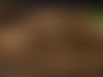 Unveiling the Health Benefits of Sacha Inchi Oil: The Heart-Healthy Superfood Singaporeans Are Raving About!