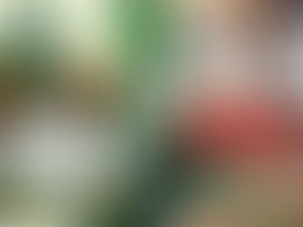 How to Get Cheap Sacha Inchi Oil from SayHeart: Special Promo Alert!