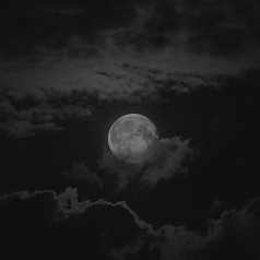 13050f5ae0d52163c3f81aae07aba989-2_edite